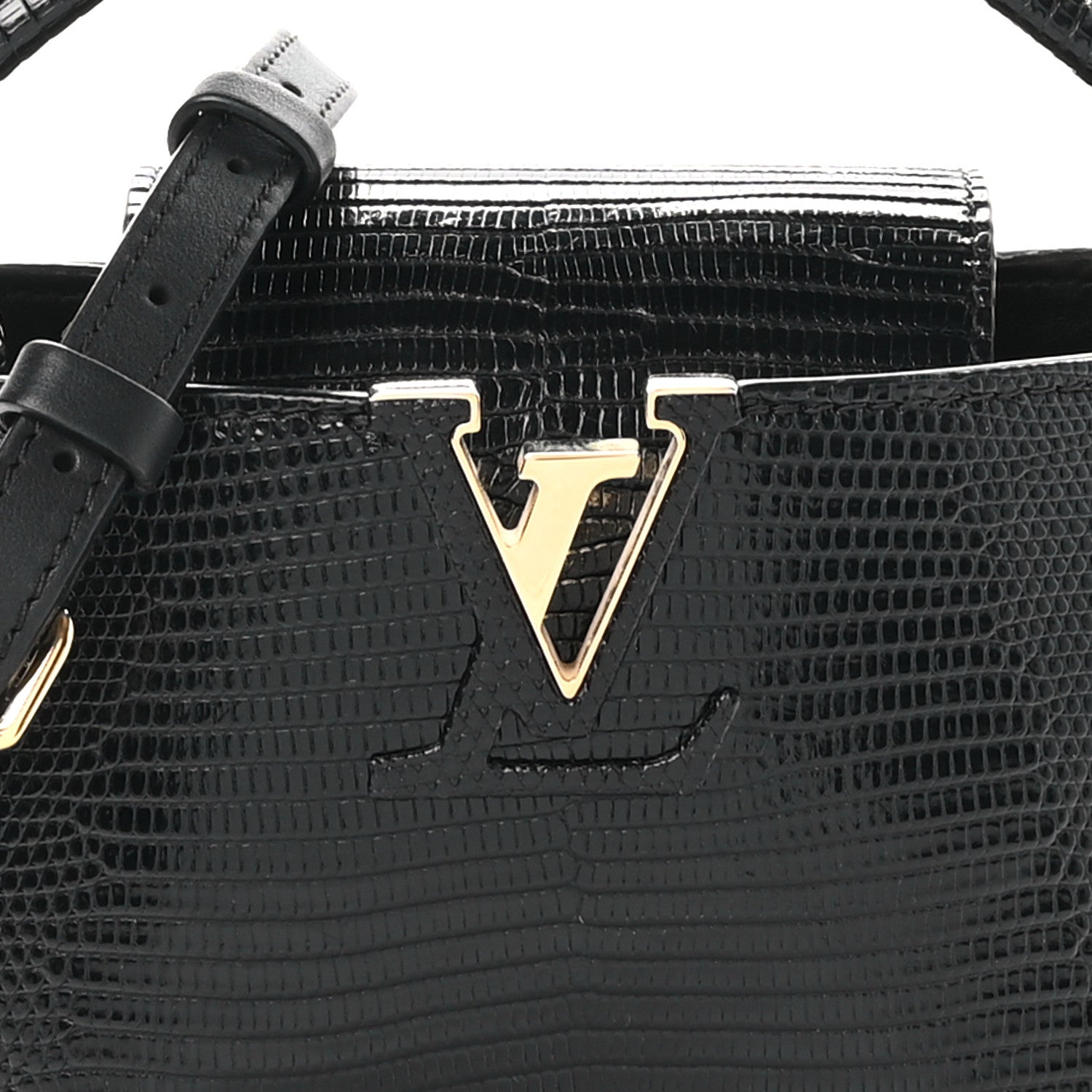 Louis Vuitton Lizard Capucines Mini Black 7 of 10