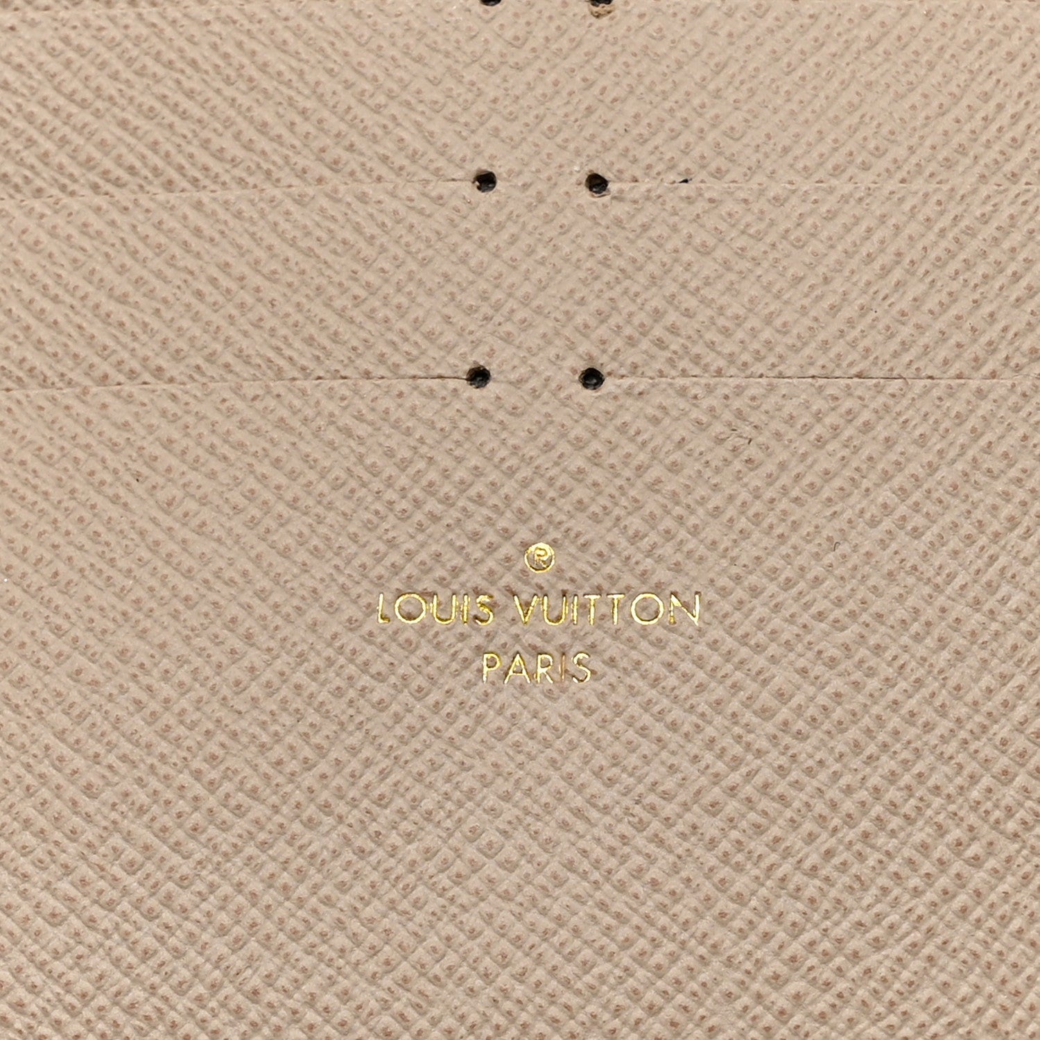 Louis Vuitton Epi Felicie Pochette Chain Wallet Galet 18 of 19