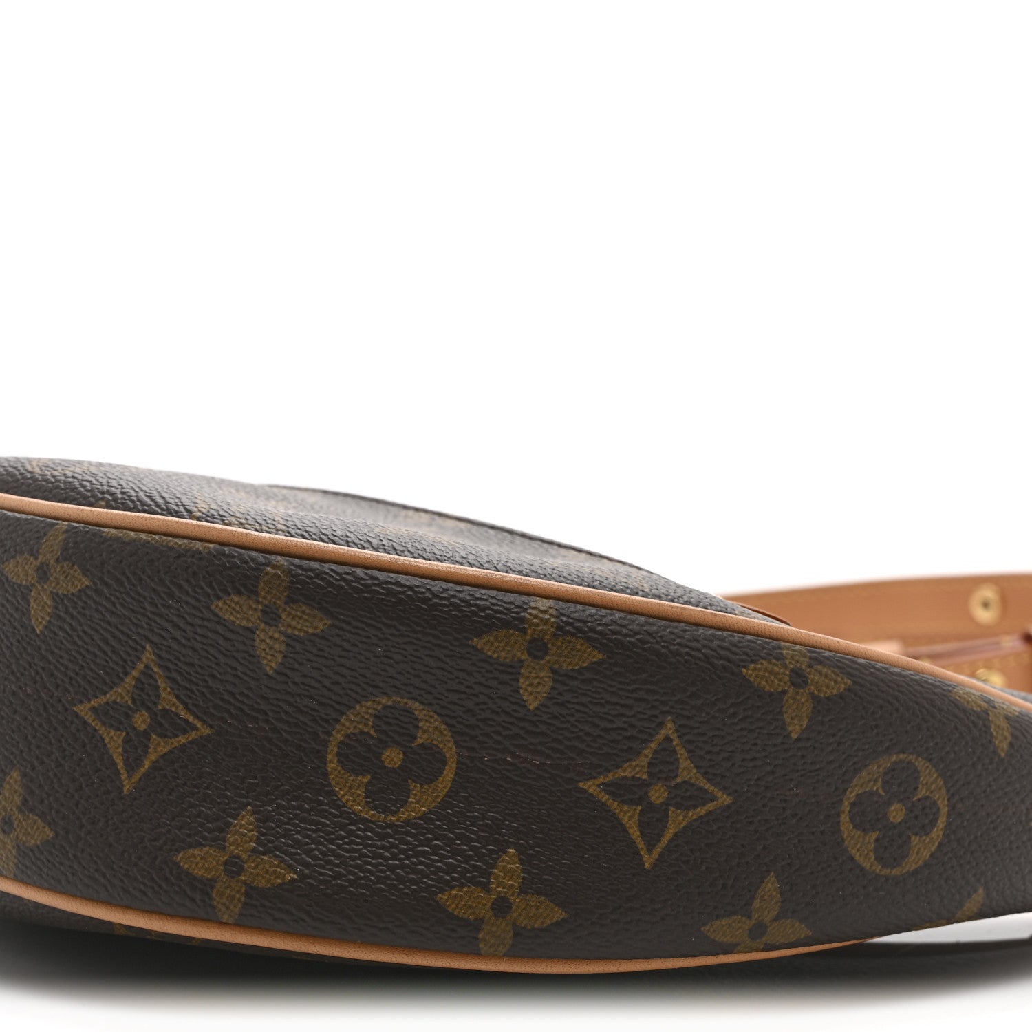 Louis Vuitton Monogram Loop 1855217 – FASHIONPHILE