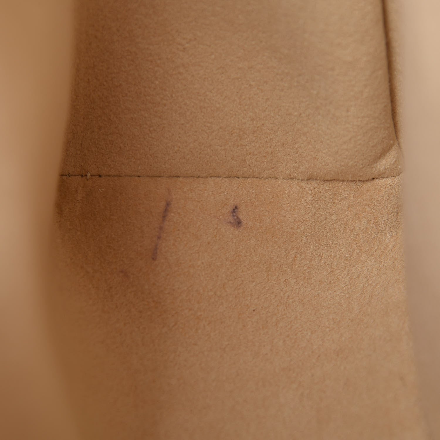 Louis Vuitton Monogram Hudson PM 10 of 15