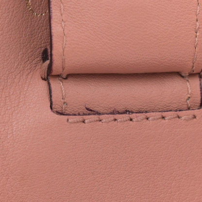 Christian Dior Smooth Calfskin Large Diorissimo Tote Orange 13 of 23