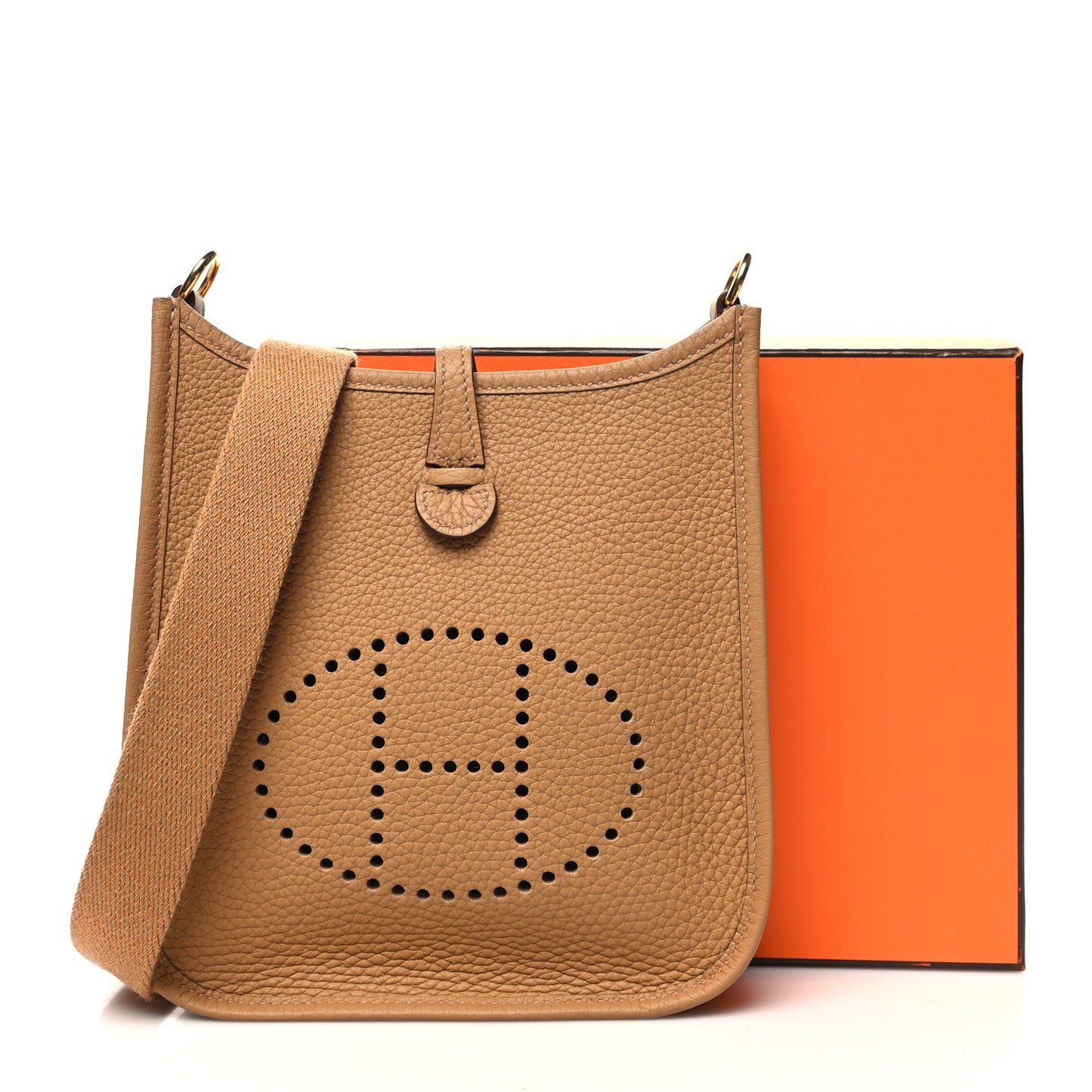 Taurillon Clemence Evelyne TPM Biscuit