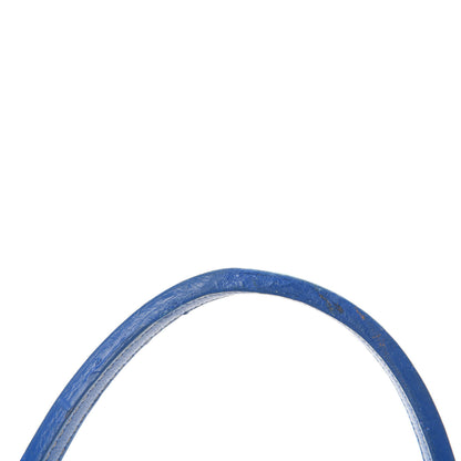 Goyard Goyardine Saint Louis PM Sky Blue 9 of 17