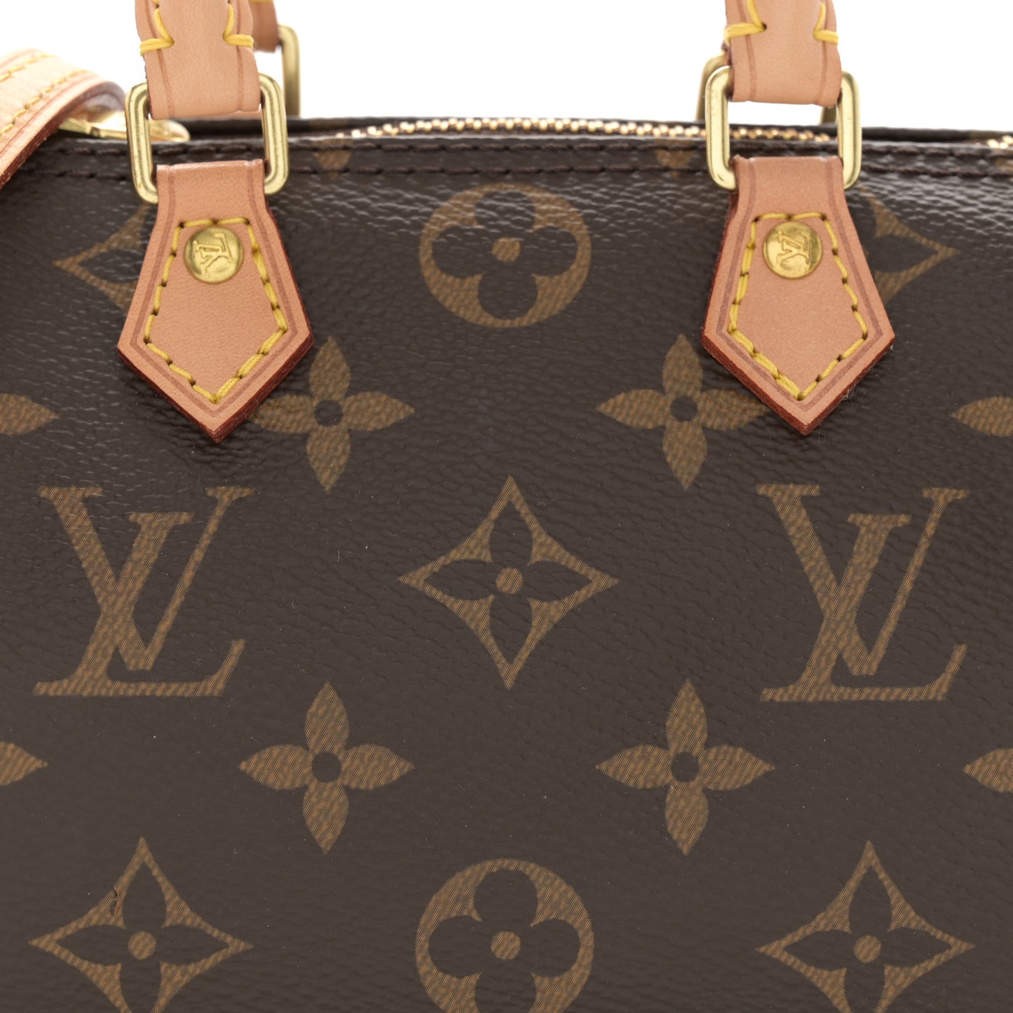 Monogram Nano Speedy