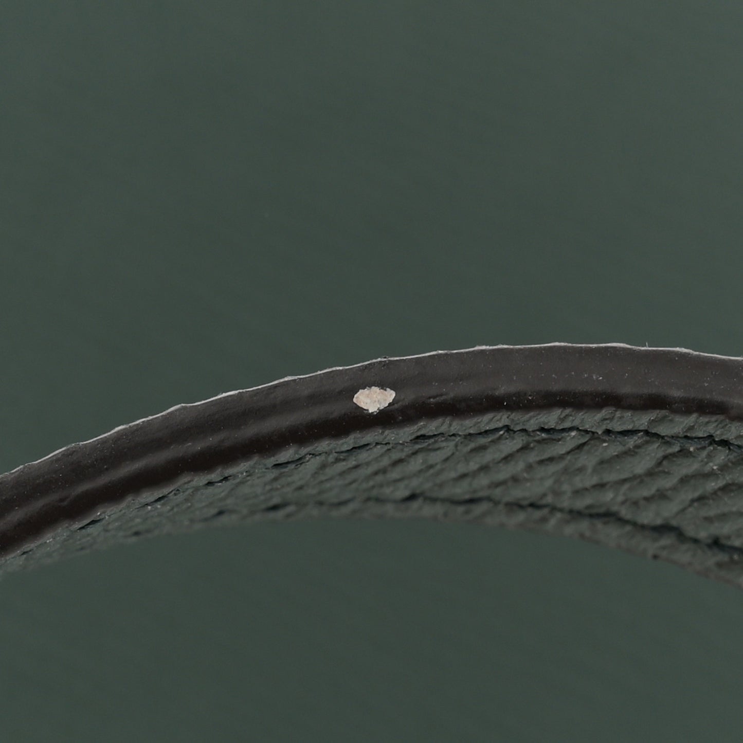 Grained Calfskin Nano Belt Bag Amazone