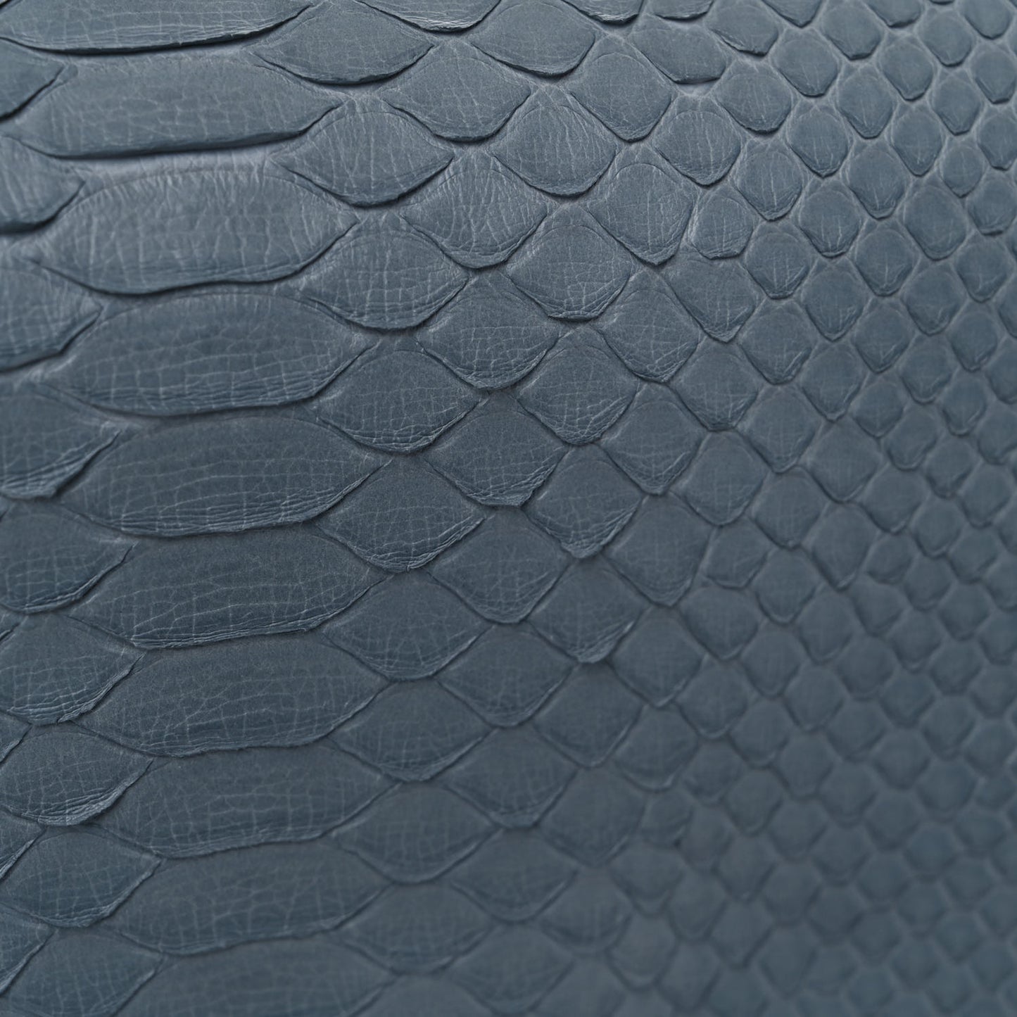 Python Jumbo Double Flap Light Blue