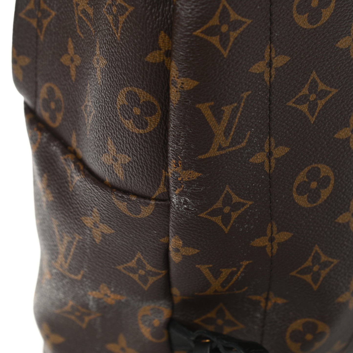 Monogram Palm Springs Backpack MM
