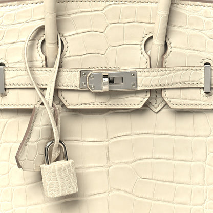 Hermes Matte Alligator Birkin 25 Beton 7 of 10