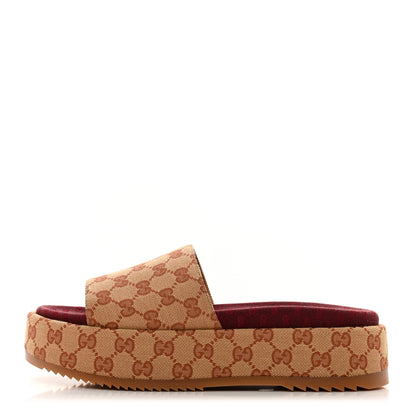 Gucci Canvas GG Monogram Angelina Platform Slide Sandals 41 Beige Ruggine 1 of 9
