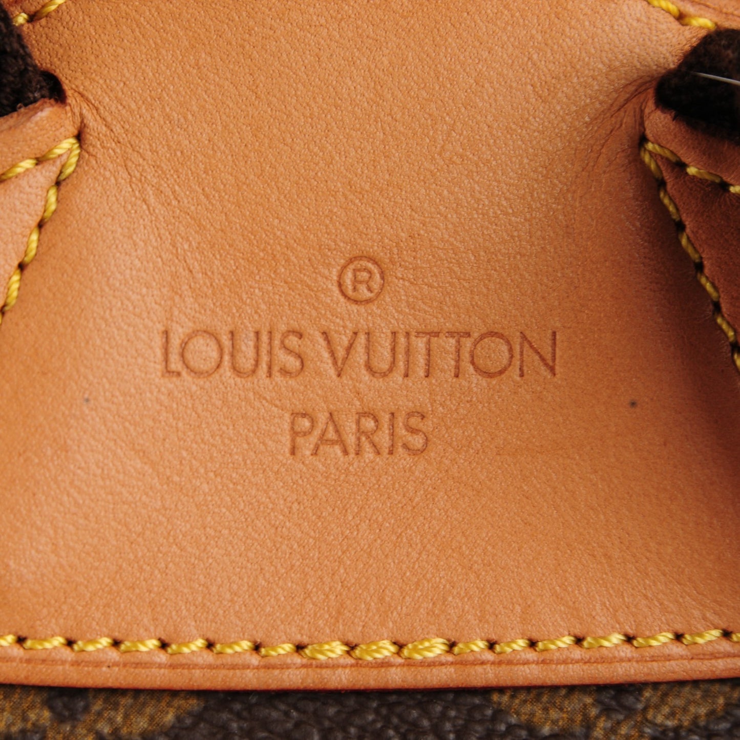 Monogram Montsouris GM Backpack