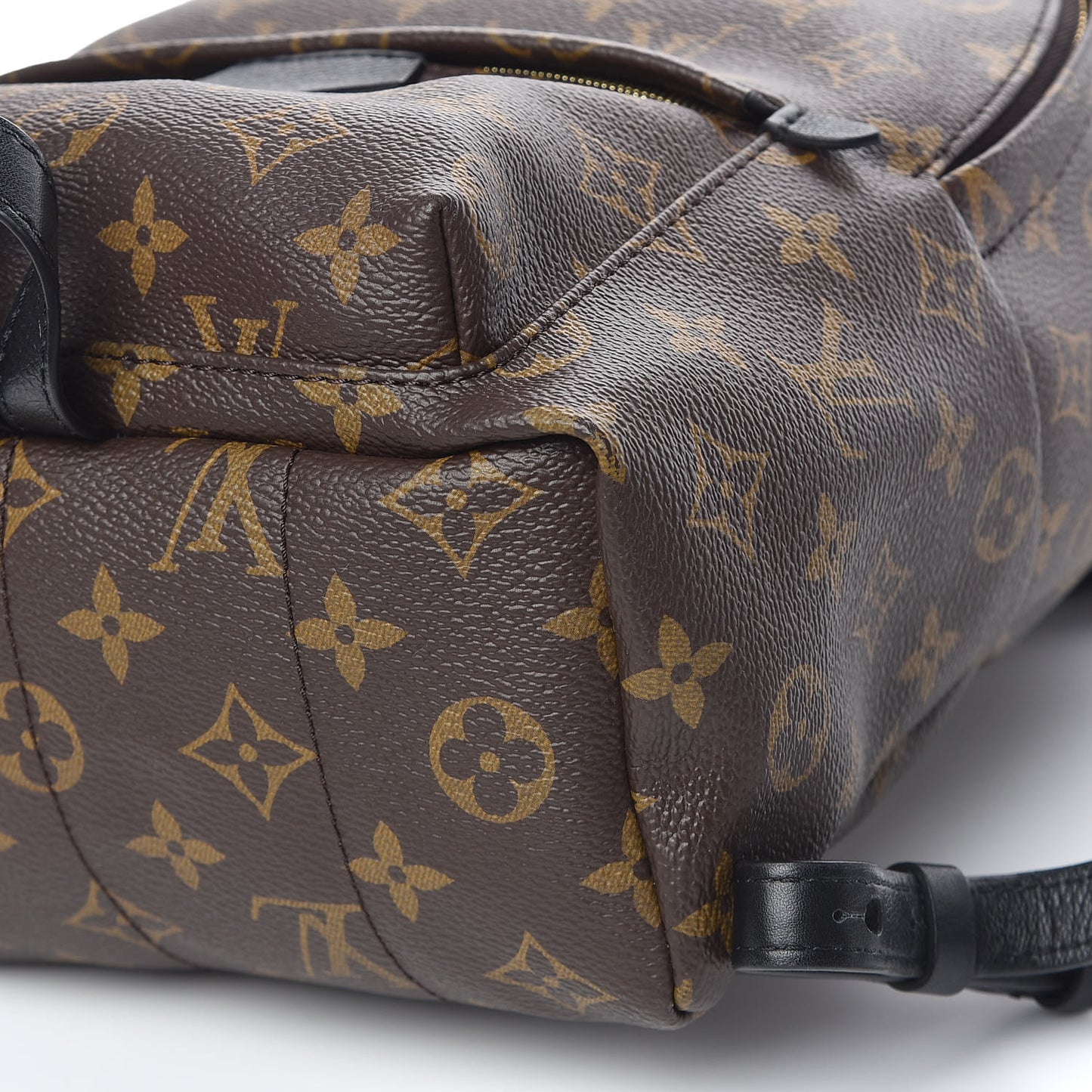 Monogram Palm Springs Backpack PM
