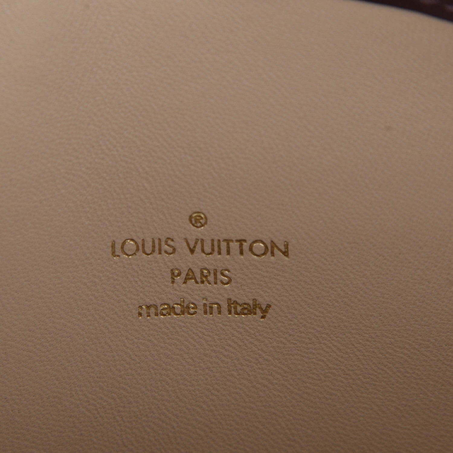 Louis Vuitton Monogram Speedy Amazon PM White Chocolat 6 of 7