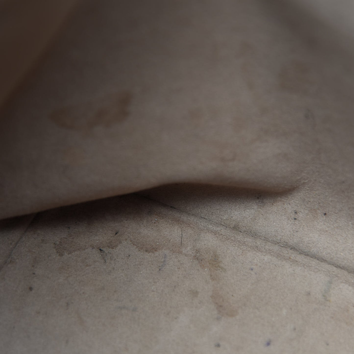 Epi Petit Noe Pepper