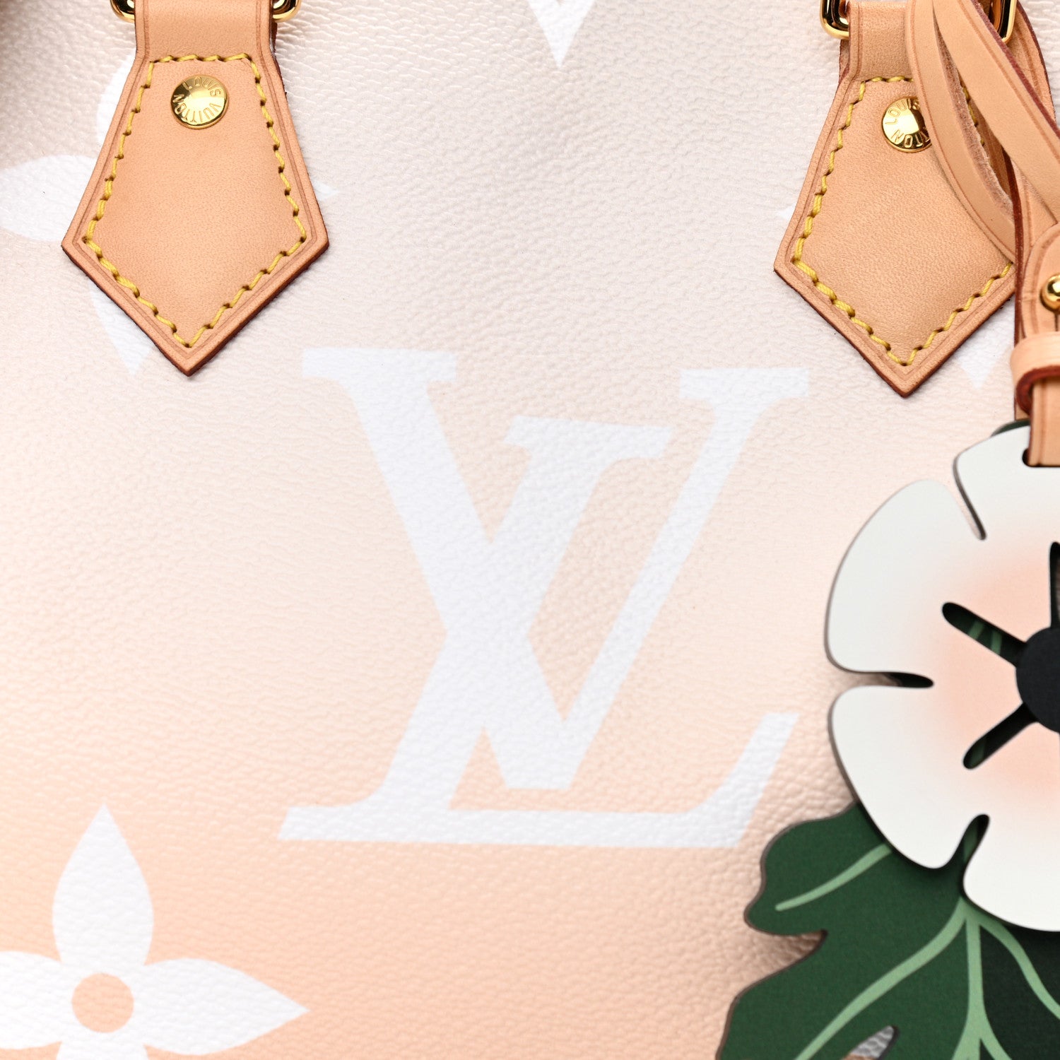 Louis Vuitton Monogram Giant By The Pool Speedy Bandouliere 25 Brume 7 of 11