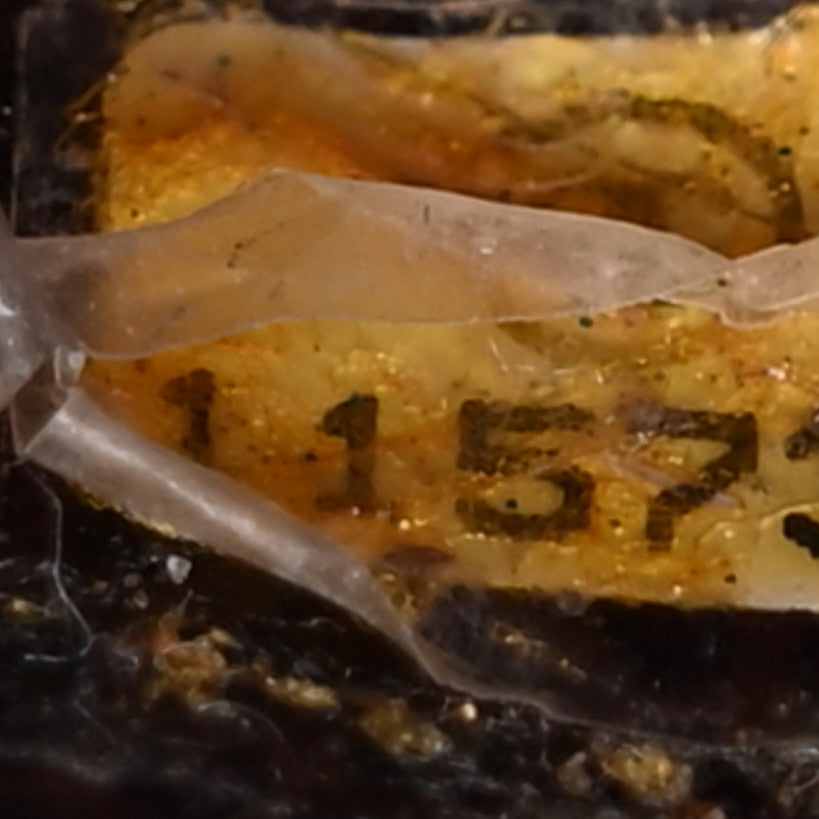 Caviar Timeless CC Wallet On Chain WOC Dark Brown