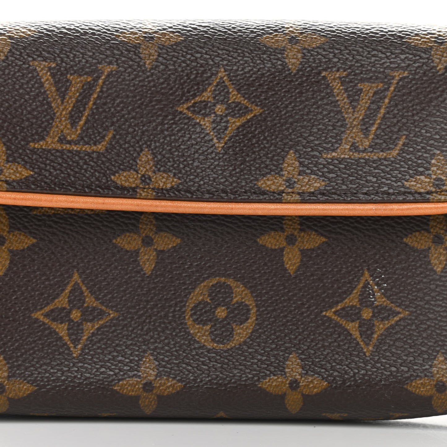 Monogram Pochette Florentine XS