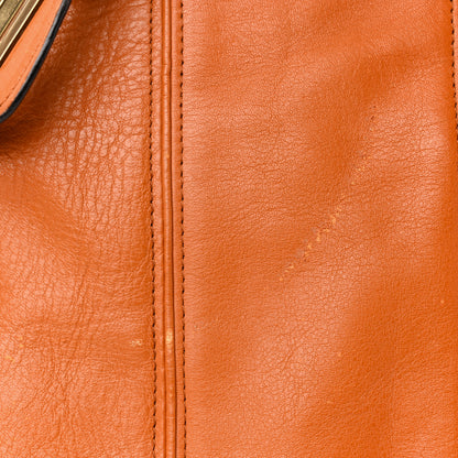 Chloe Calfskin Large Paraty Indian Summer 10 of 13