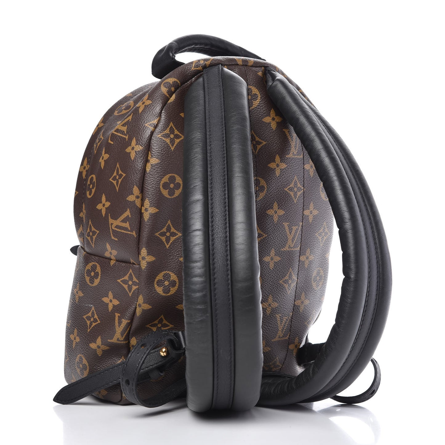 Monogram Palm Springs Backpack PM