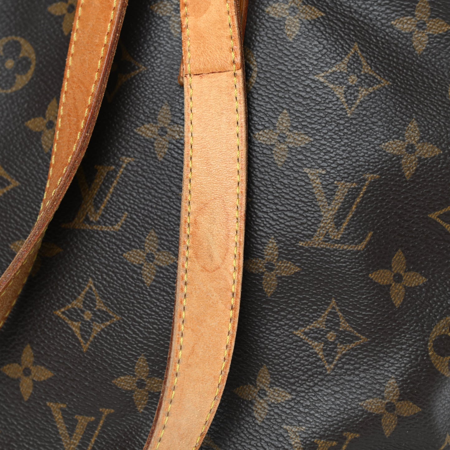 Monogram Cabas Mezzo