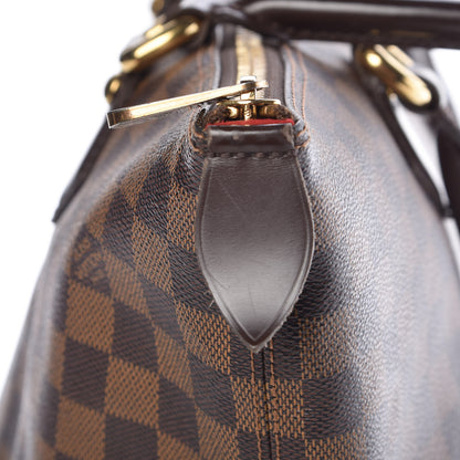 Louis Vuitton Damier Ebene Saleya MM 15 of 24