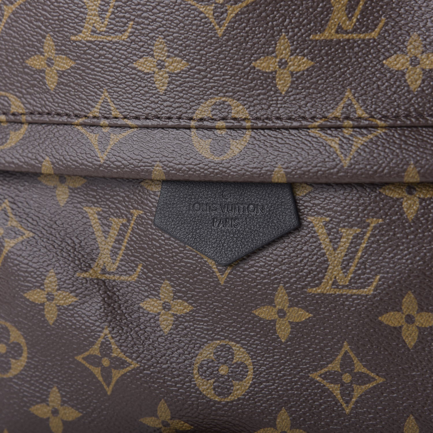 Louis Vuitton Monogram Palm Springs Backpack MM 10 of 11