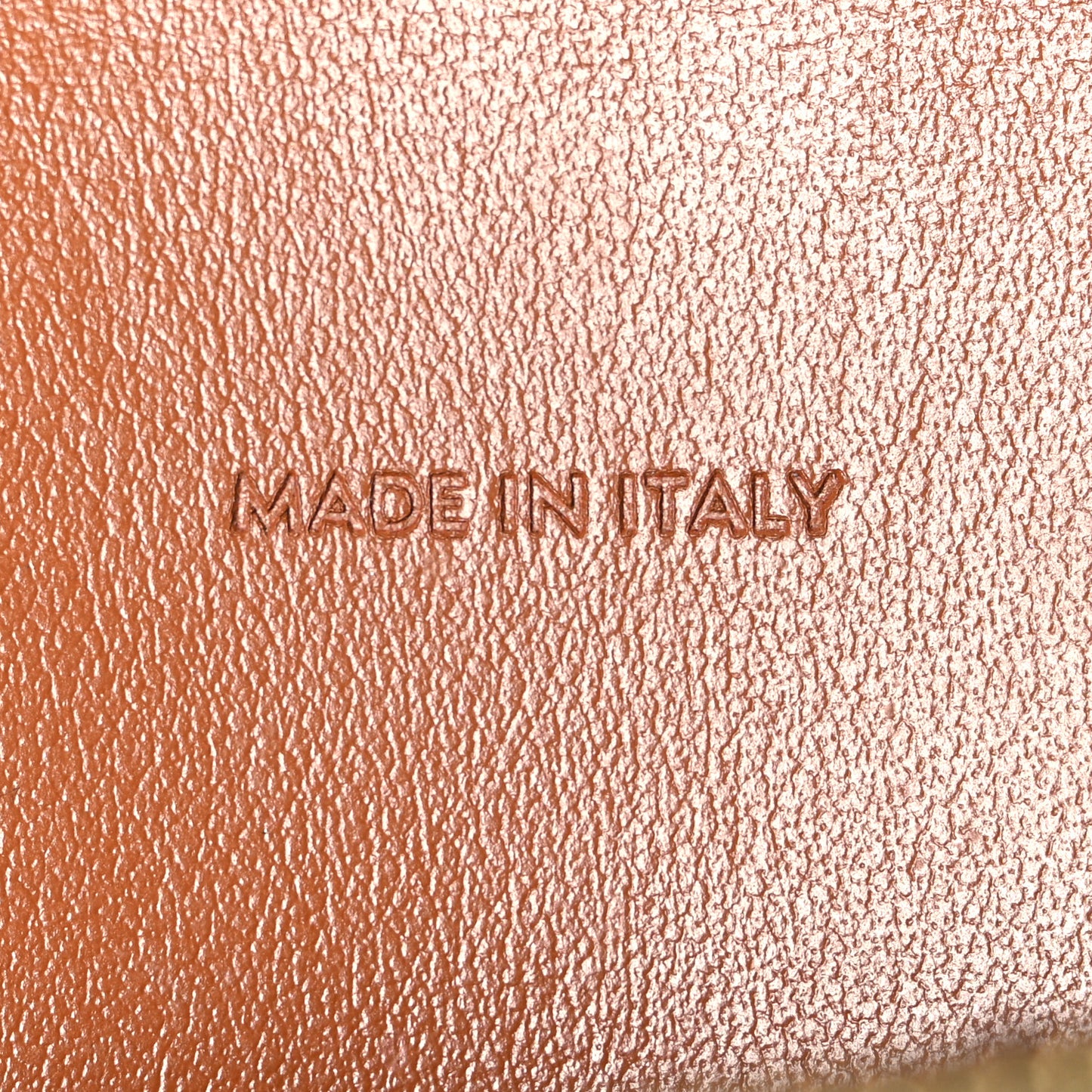Triomphe Canvas Lambskin Wallet On Strap Tan Tan