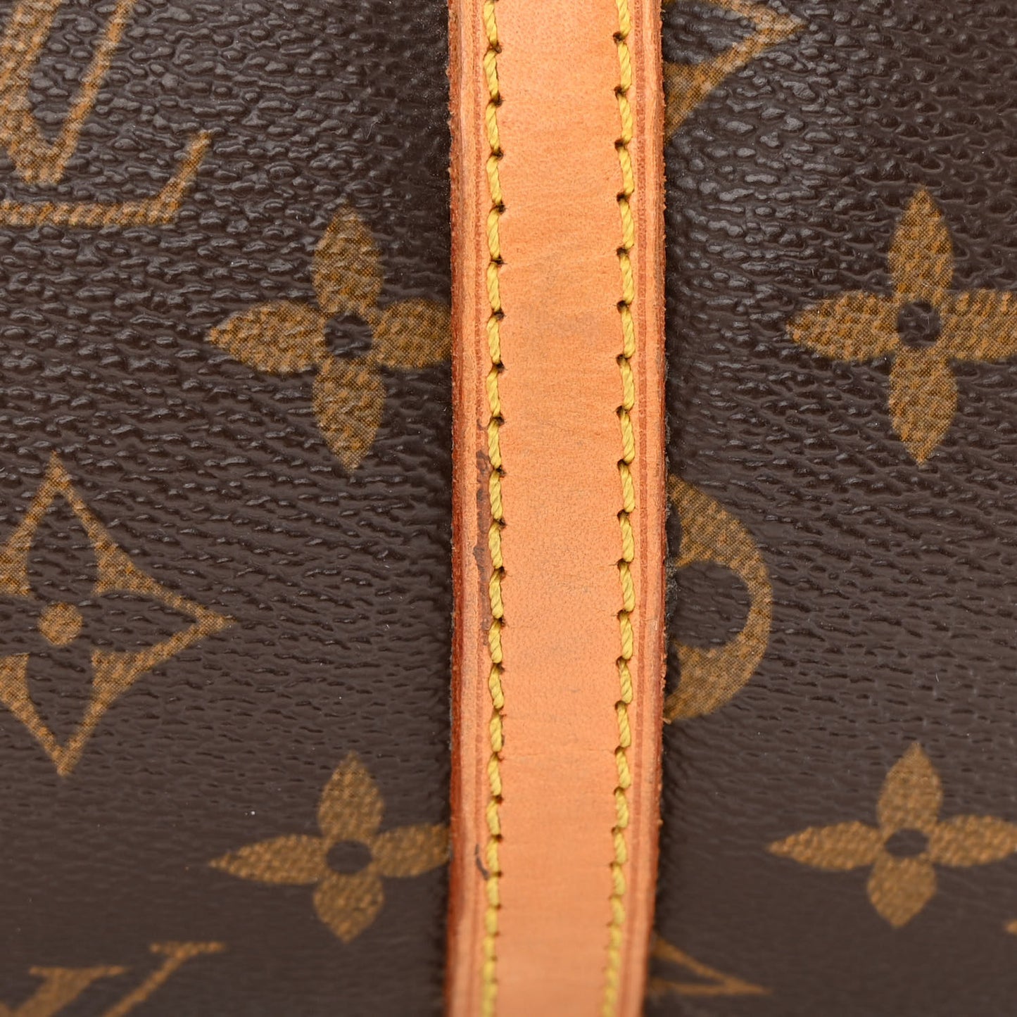 Monogram Papillon 30 with Companion