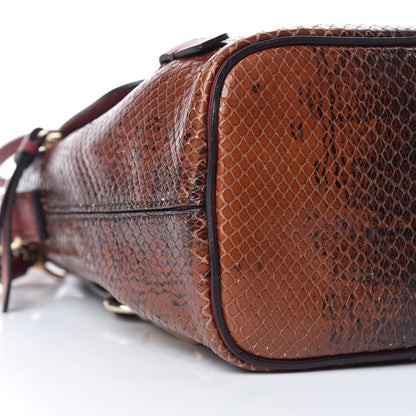 Chloe Calfskin Watersnake Embossed Mini Faye Backpack Sepia Brown 9 of 14