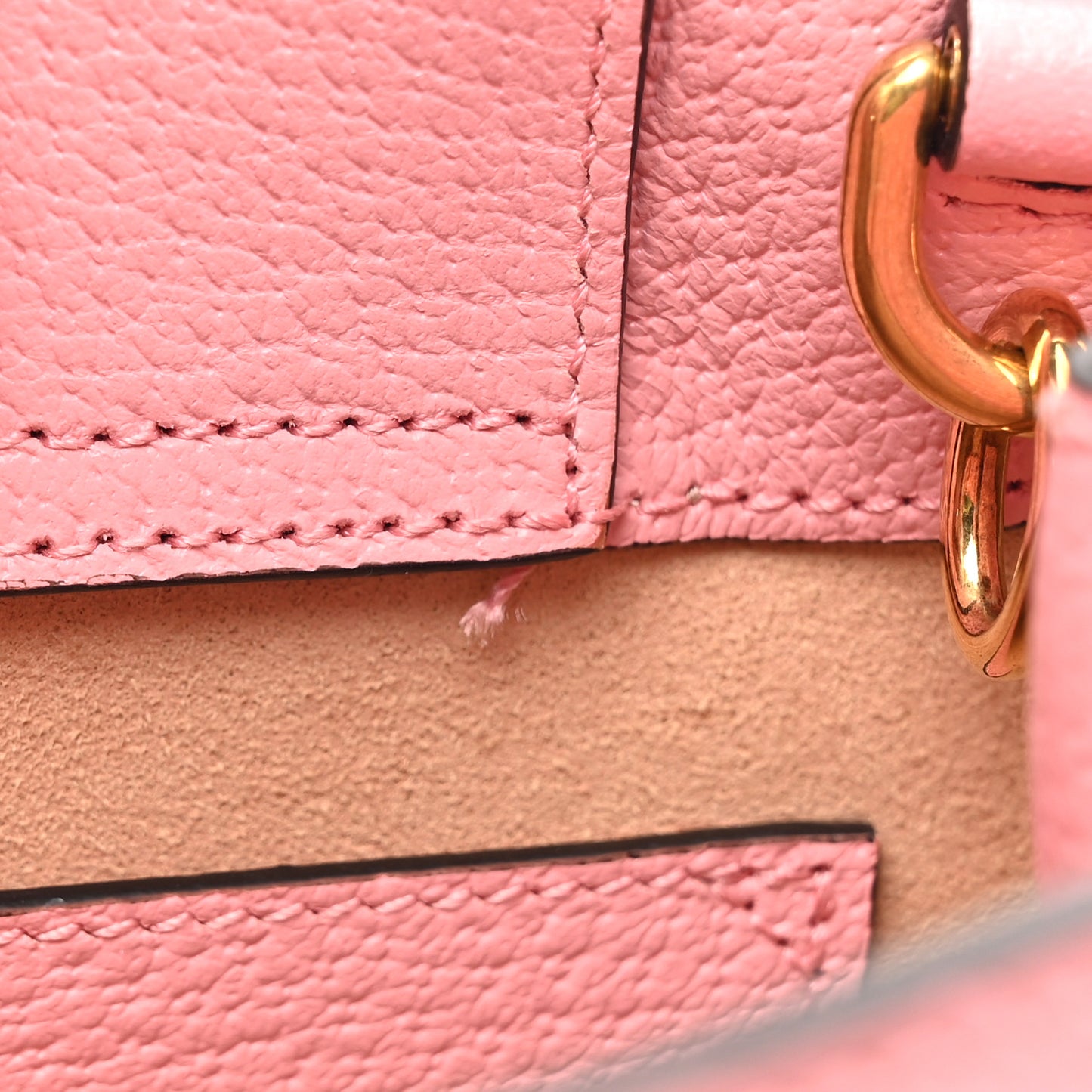 Textured Dollar Calfskin Web Mini Diana Tote Bag Wild Rose Black