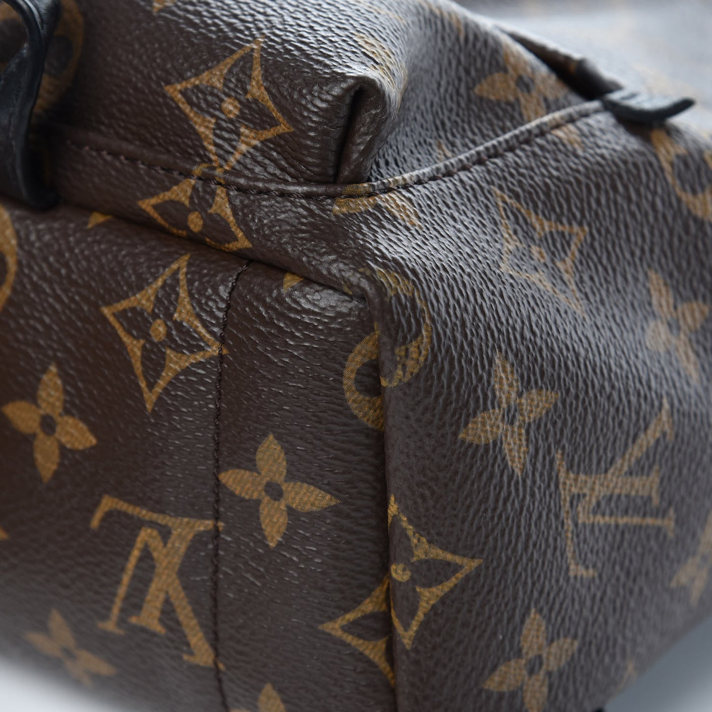 Monogram Palm Springs Backpack Mini
