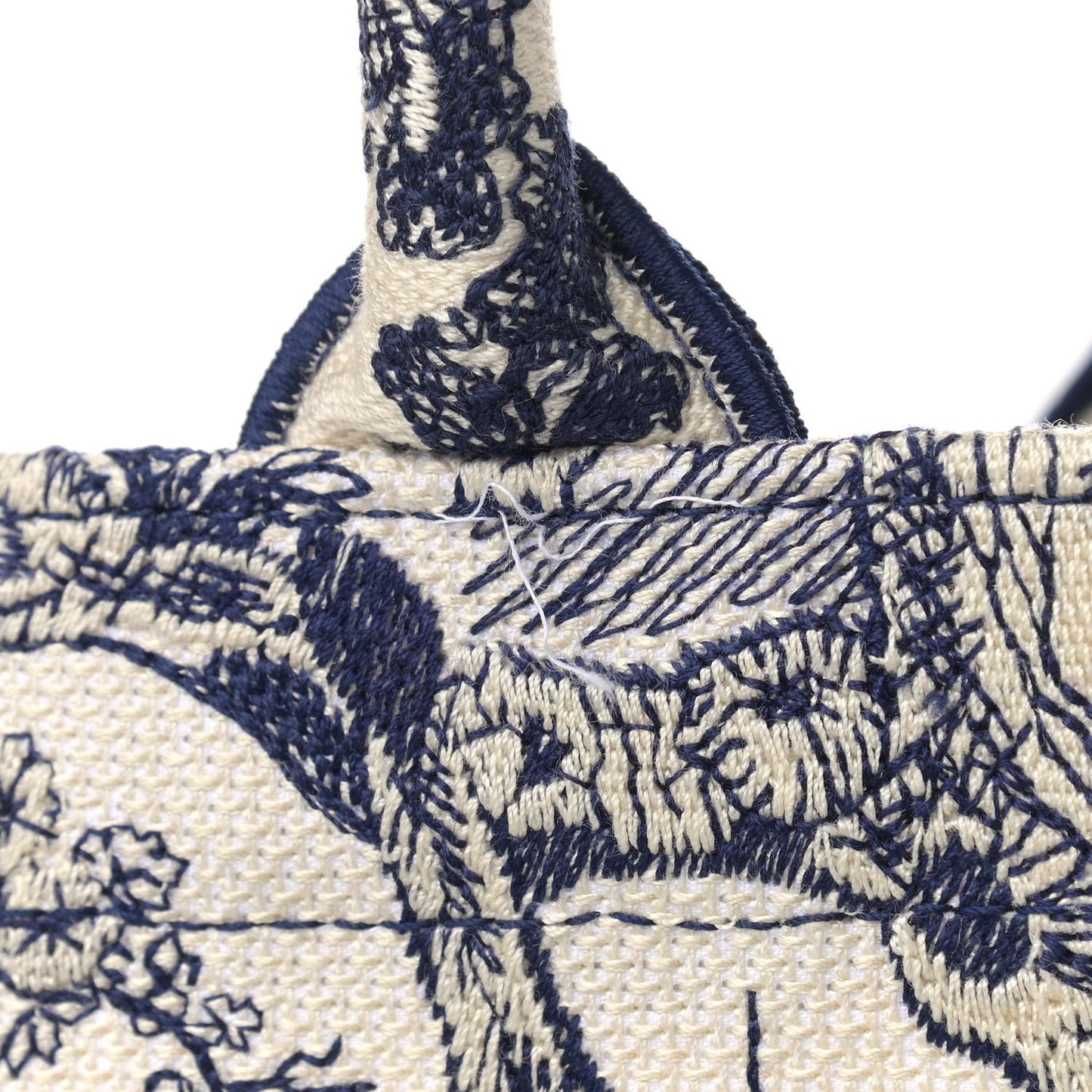 Canvas Embroidered Large Dioriviera Toile De Jouy Book Tote Blue