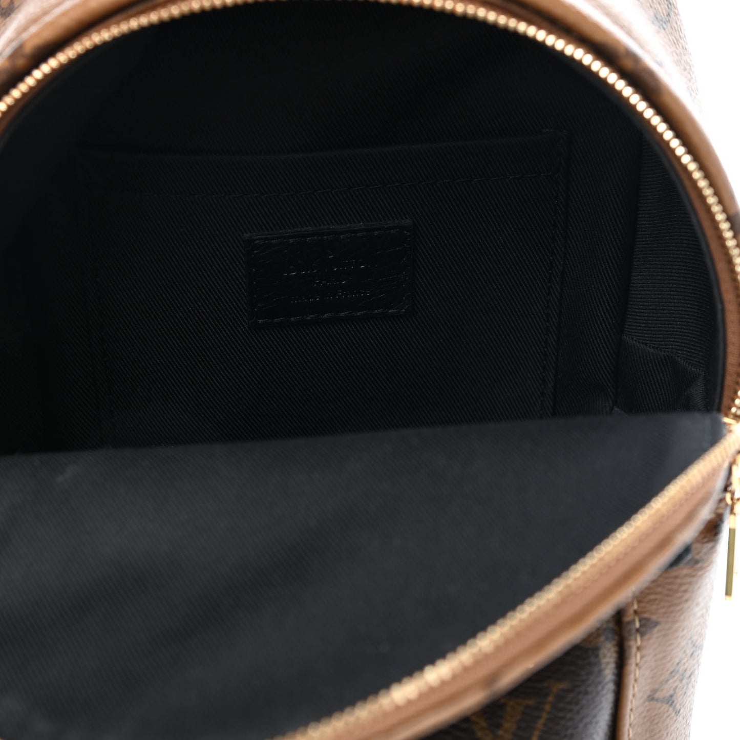 Reverse Monogram Palm Springs Backpack Mini