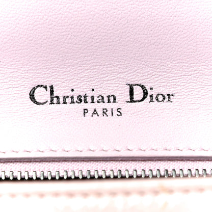 Christian Dior Ceramic Effect Deerskin Small Diorama Flap Bag Pink 9 of 26