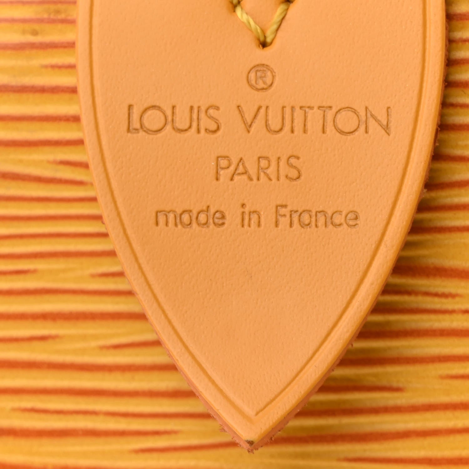 Louis Vuitton Epi Speedy 25 Tassil 6 of 14