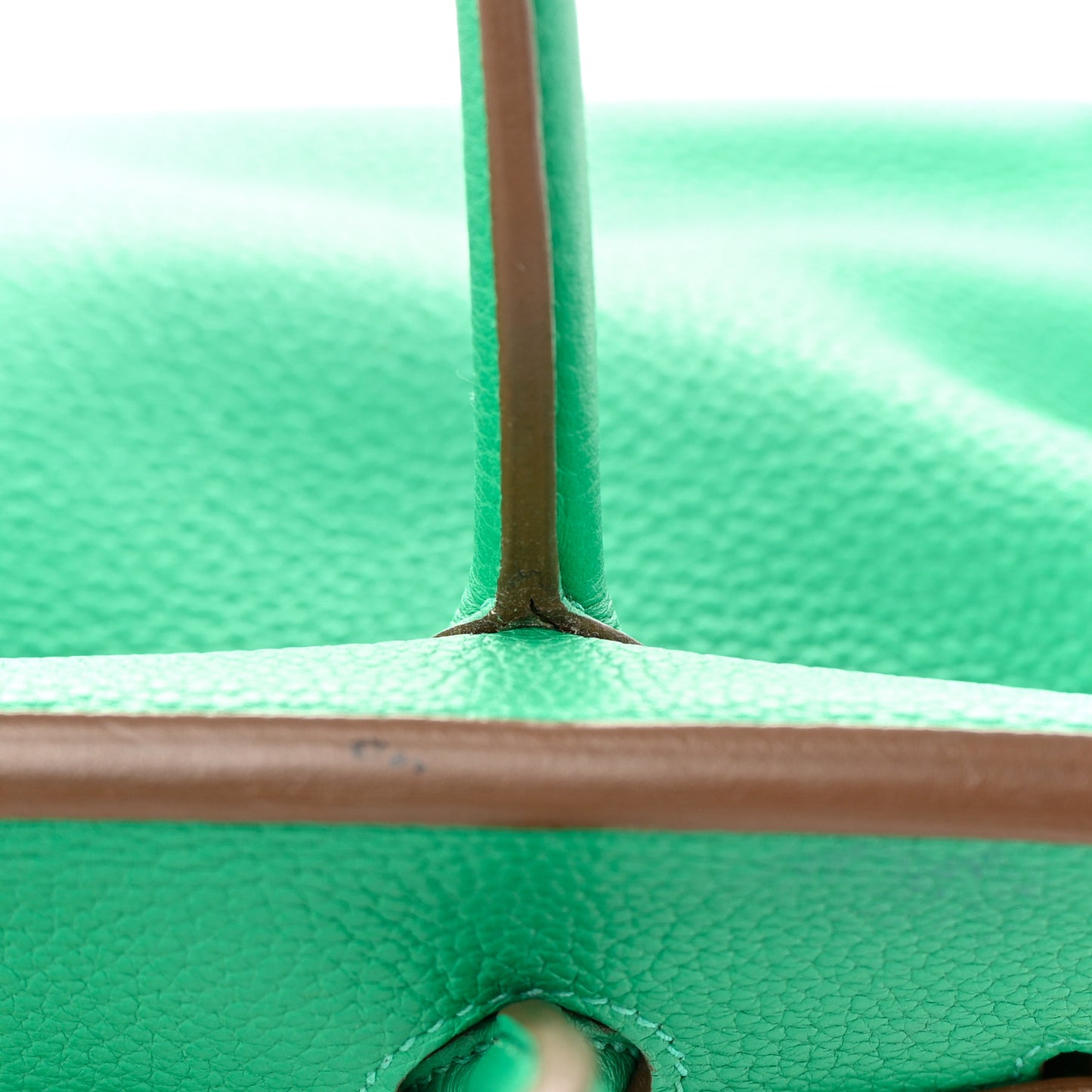 Taurillon Clemence Birkin 35 Menthe