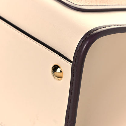 Fendi Vitello Century Normand F is Fendi Small Runaway Satchel Camelia Caramello Moresco 11 of 15