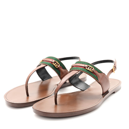 Gucci Jakarta Lifford Calfskin Web Interlocking G Thong Sandals 41 Ebony 4 of 9