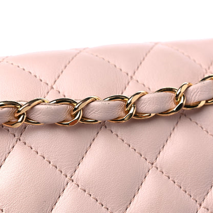 Chanel Calfskin Quilted Small Urban Spirit Backpack Light Pink 13 of 14