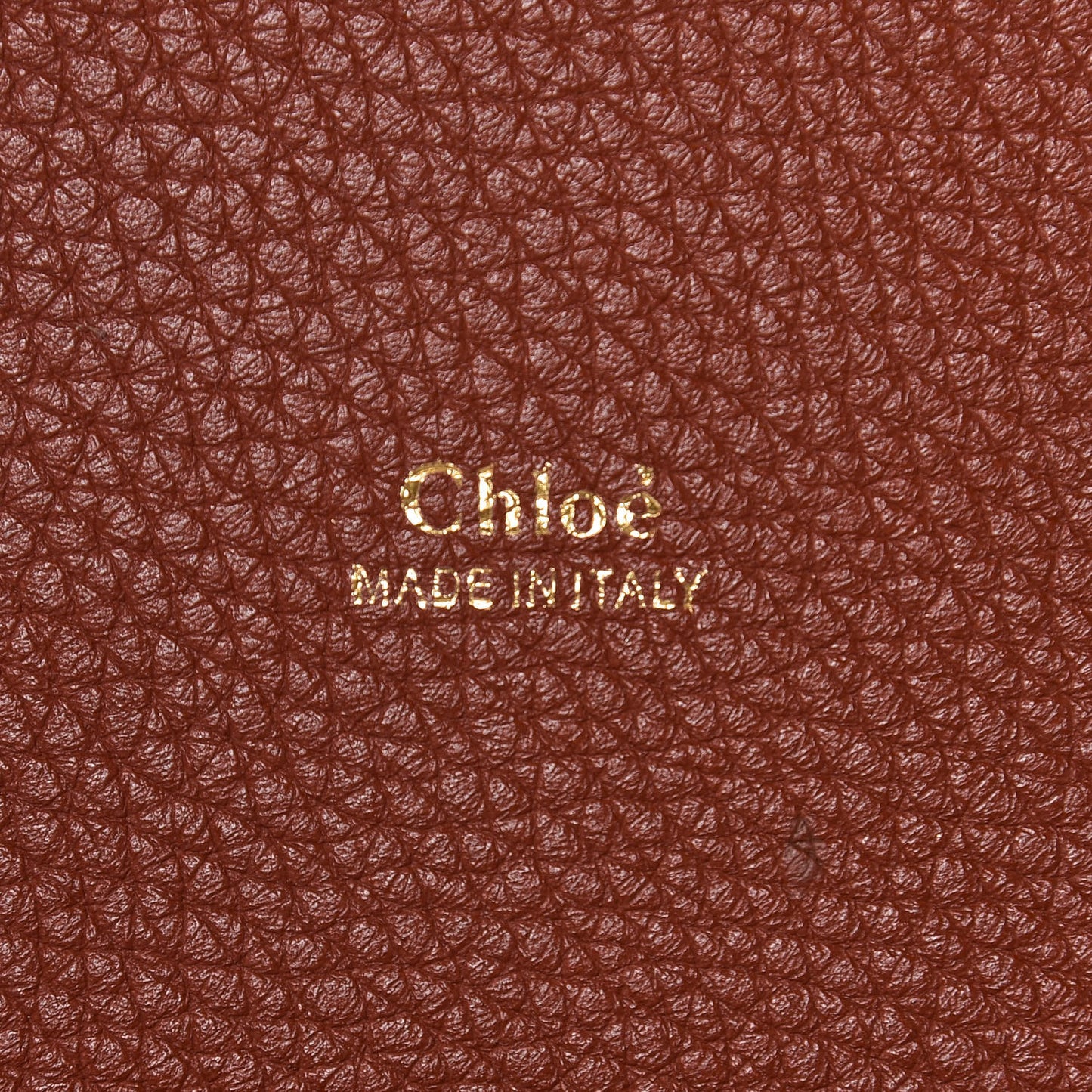 Shiny Grained Calfskin Medium Aby Day Shoulder Bag Sepia Brown