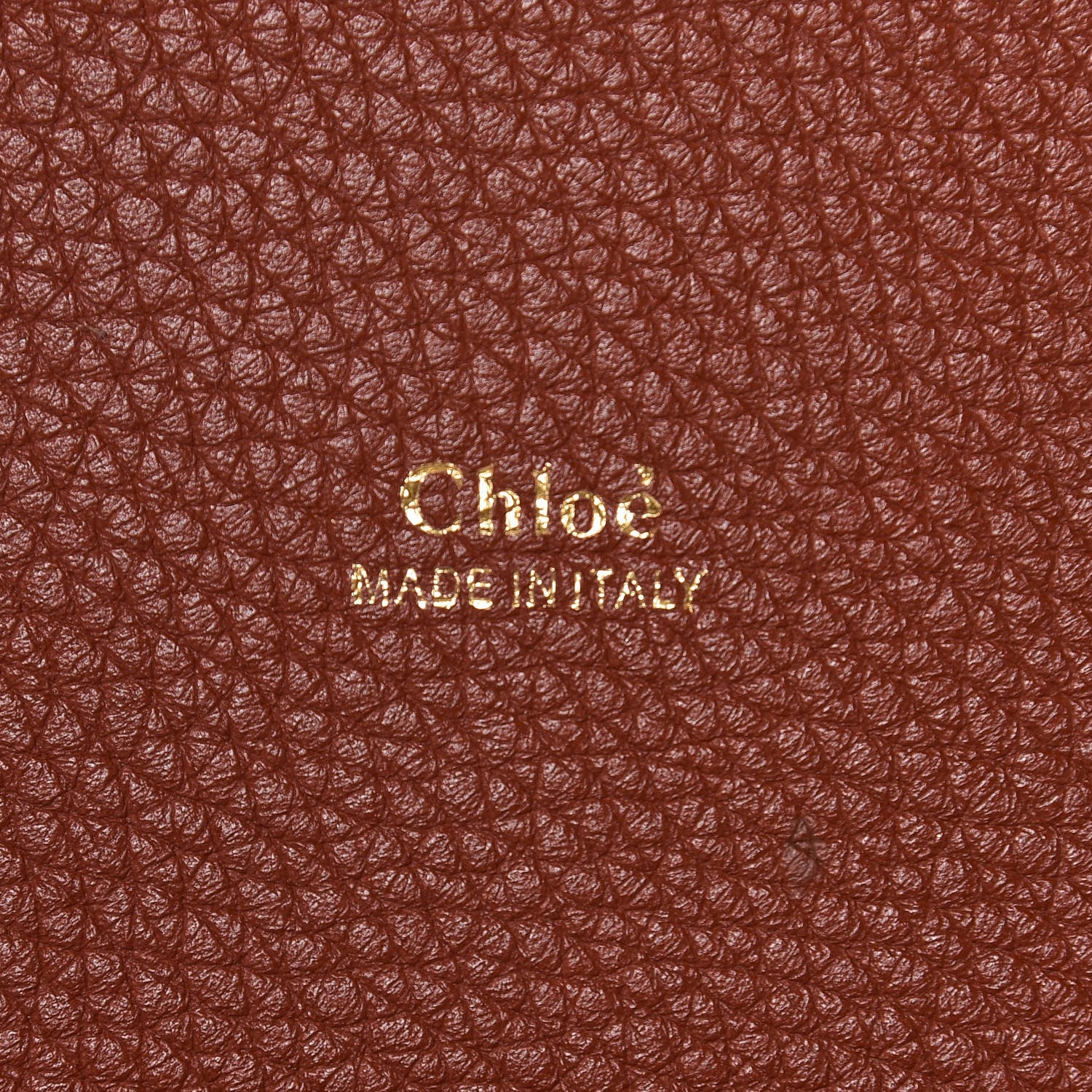 Chloe Shiny Grained Calfskin Medium Aby Day Shoulder Bag Sepia Brown 6 of 10