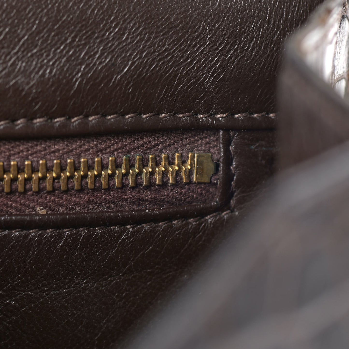 Shiny Porosus Crocodile Constance 23 Chocolate