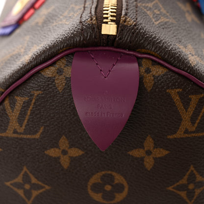 Louis Vuitton Monogram Totem Speedy 30 Magenta 6 of 11