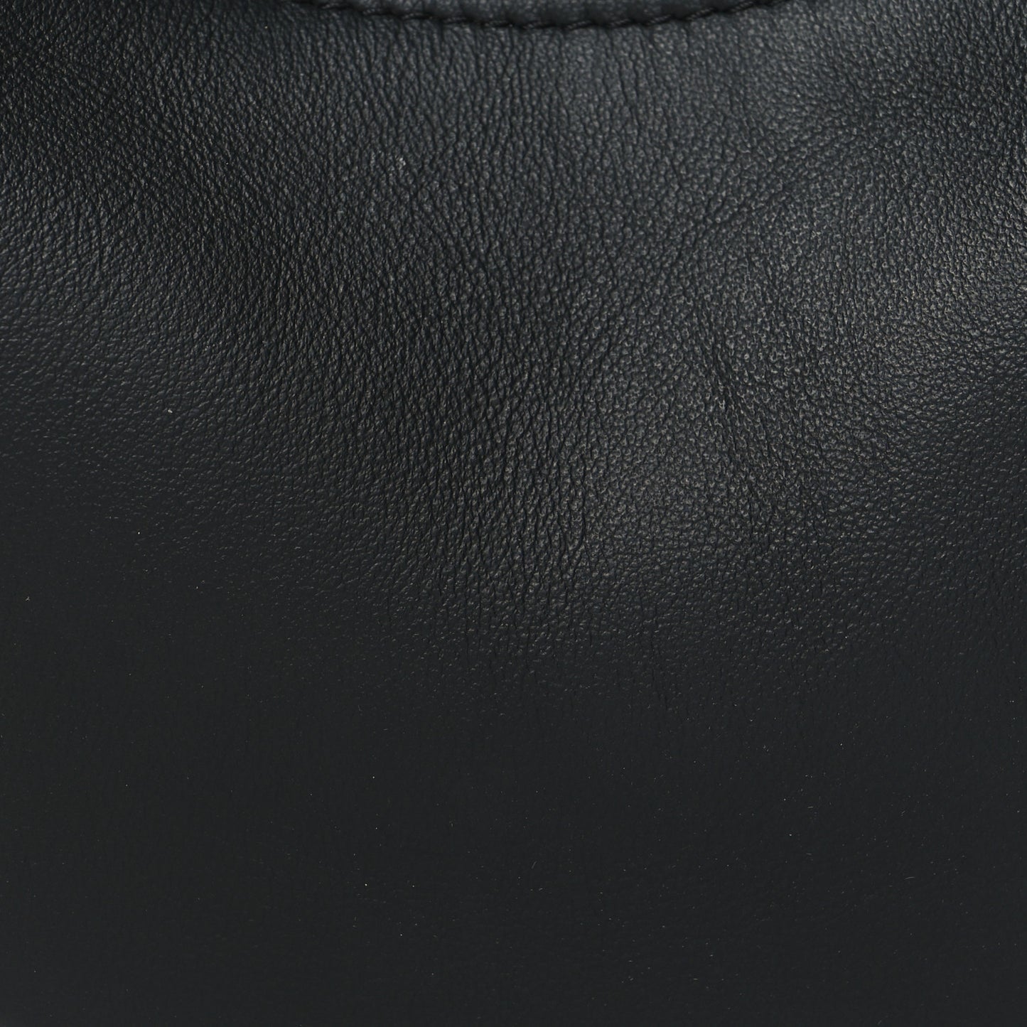 Vitello Grace Matte Nano Fendigraphy Hobo Charm Black