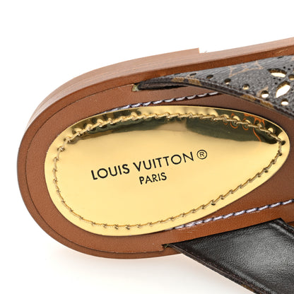 Louis Vuitton Monogram Sunny Flat Thong Sandals 37 Brown 7 of 7