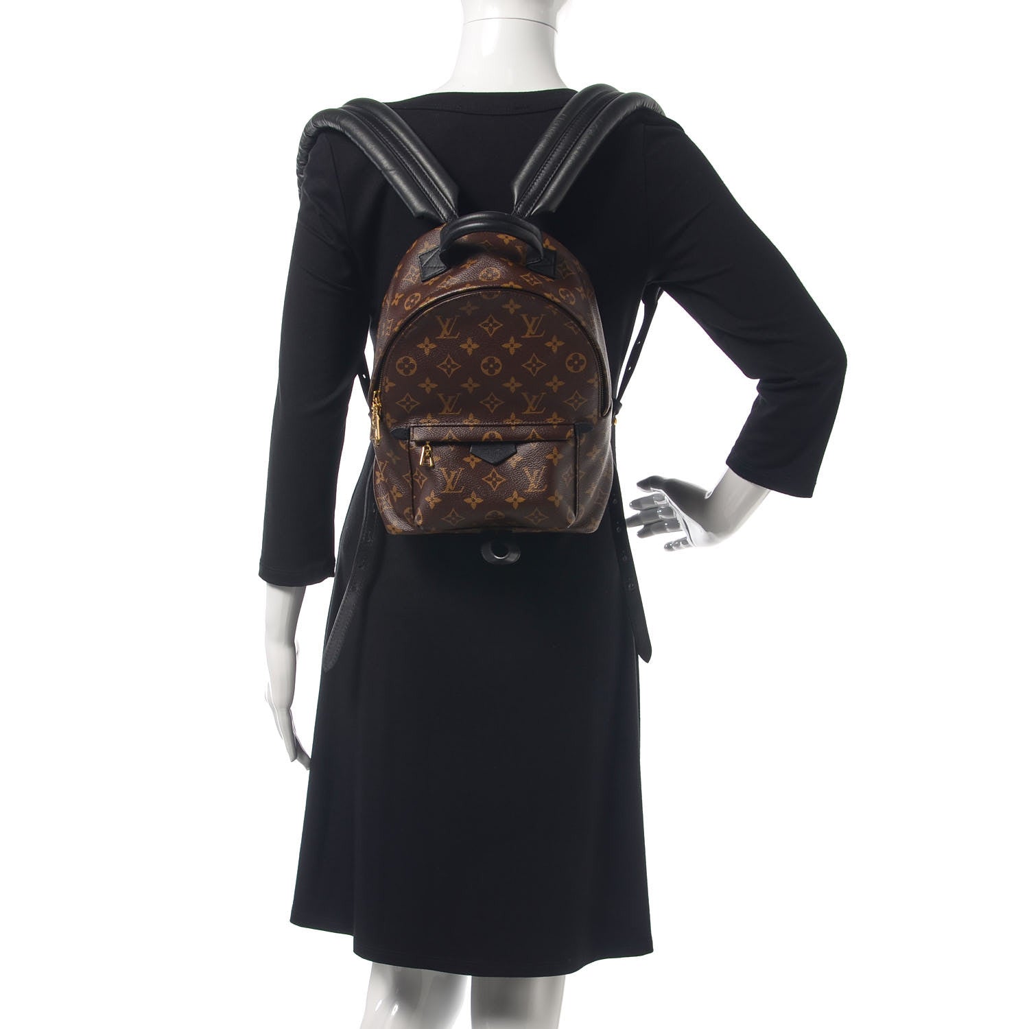 Louis Vuitton Monogram Palm Springs Backpack PM 2 of 8