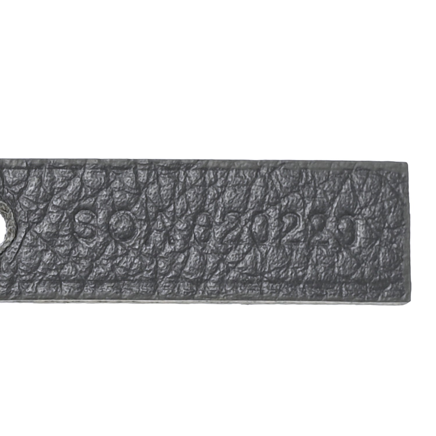 Goyard Goyardine Saint Louis PM Grey 8 of 10