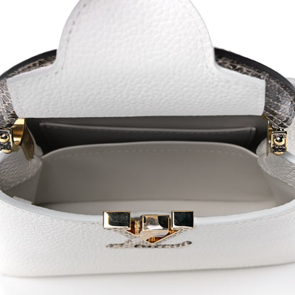Louis Vuitton Taurillon Ayers Capucines Mini White Snow White 5 of 10