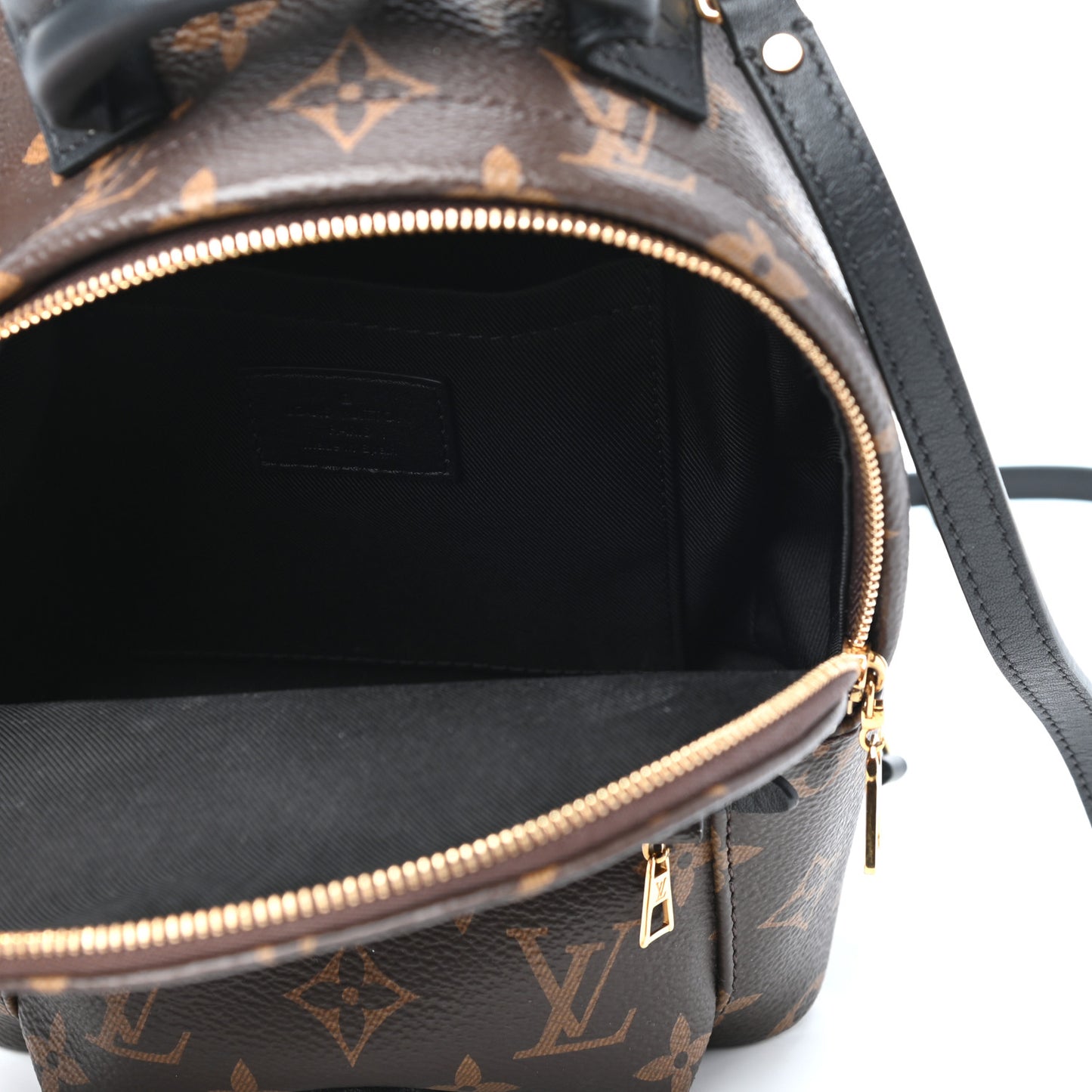 Monogram Palm Springs Backpack Mini