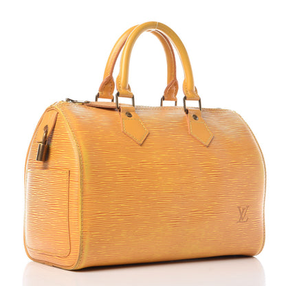 Louis Vuitton Epi Speedy 25 Tassil 3 of 30