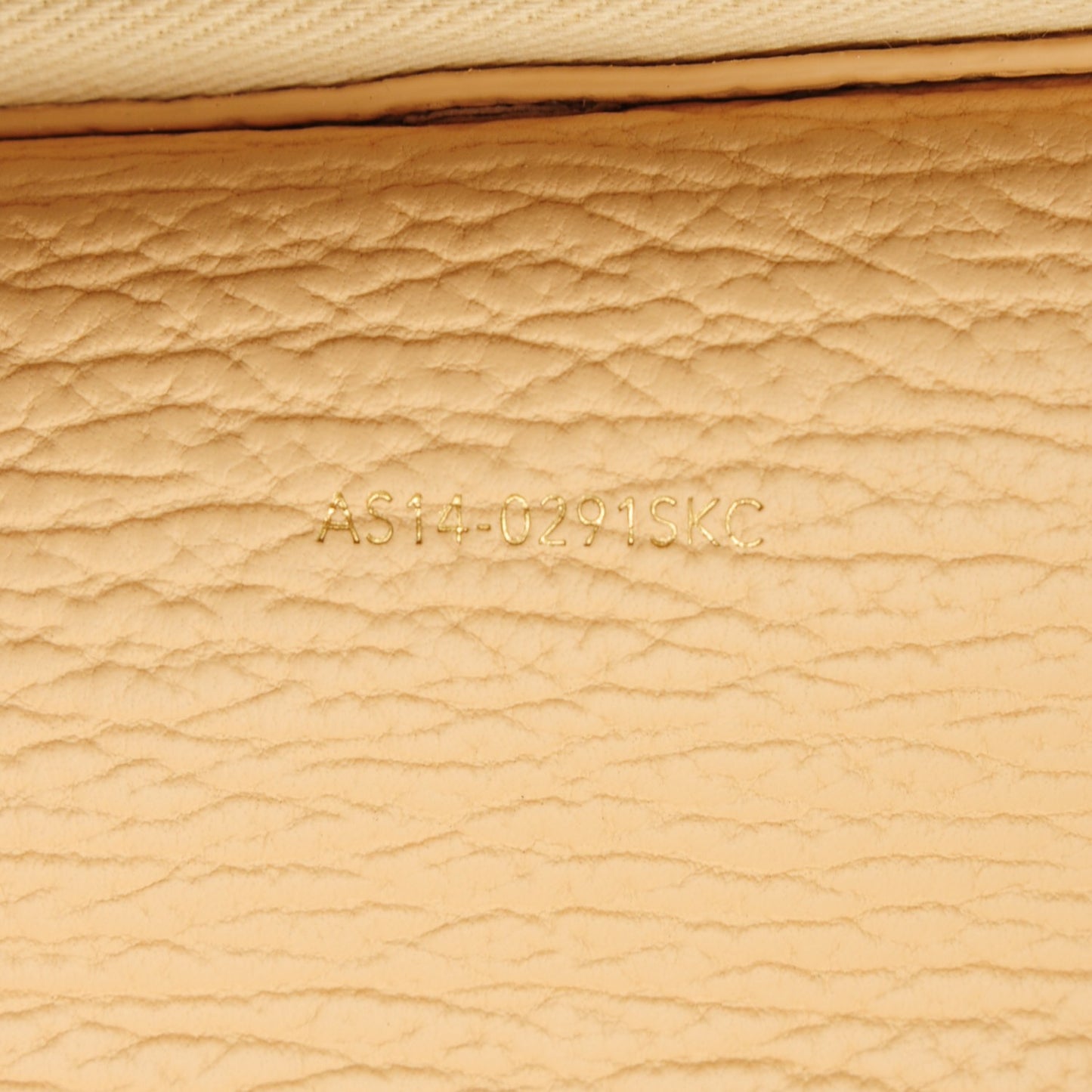 3.1 Textured Calfskin Pashli Backpack Buff